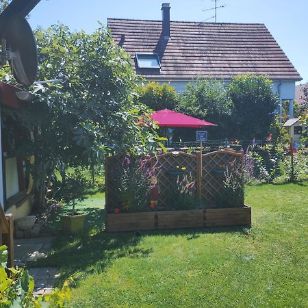 Gite Alsace Appenwihr Kültér fotó