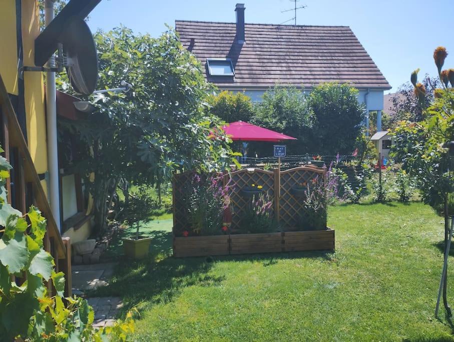 Gite Alsace Appenwihr Kültér fotó